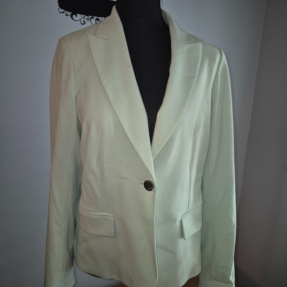 Calvin Klein Light Green Blazer (8)